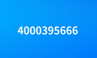 4000395666