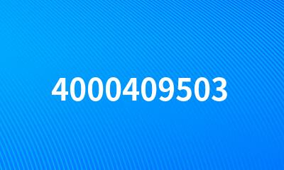 4000409503