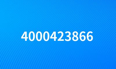 4000423866