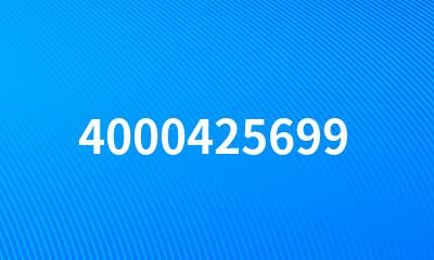 4000425699