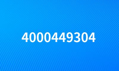 4000449304