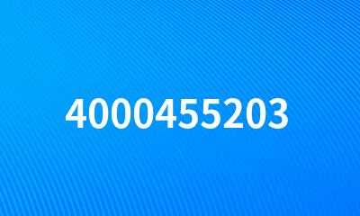 4000455203