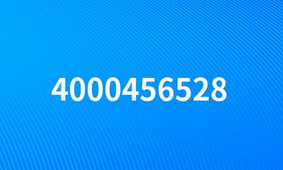 4000456528