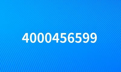 4000456599