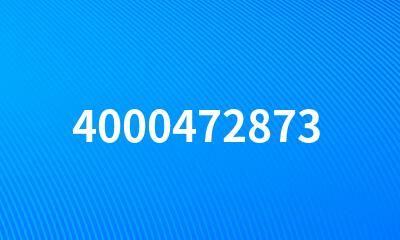 4000472873