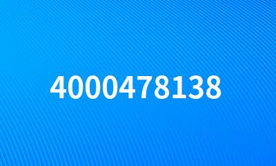 4000478138