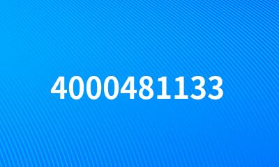 4000481133