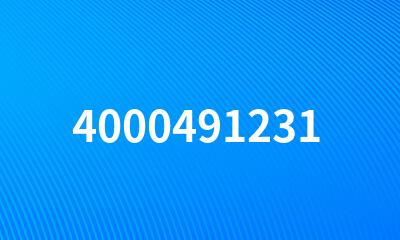 4000491231