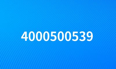 4000500539