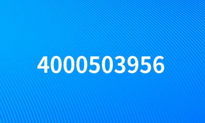 4000503956