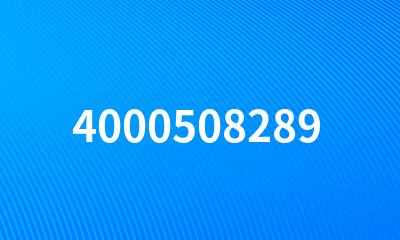 4000508289