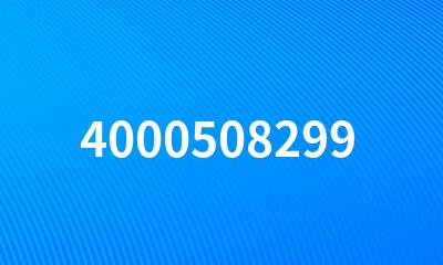 4000508299