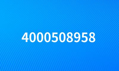 4000508958