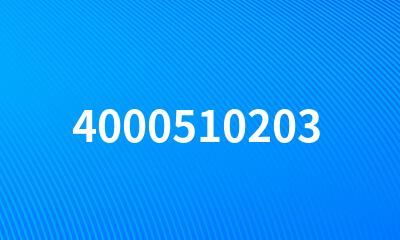 4000510203