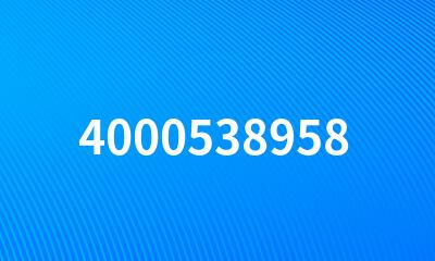 4000538958