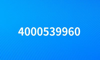 4000539960