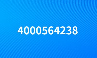 4000564238