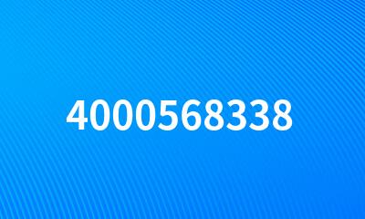 4000568338