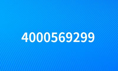 4000569299