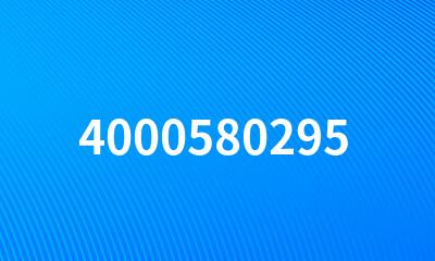 4000580295