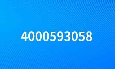 4000593058