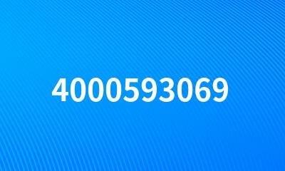 4000593069