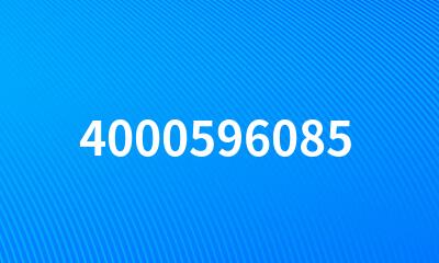 4000596085