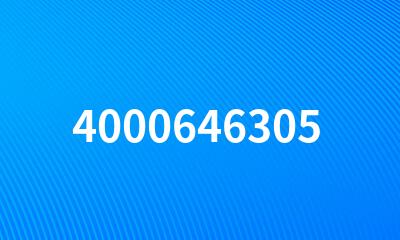 4000646305