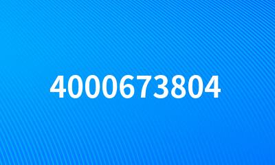 4000673804