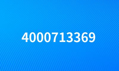 4000713369