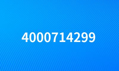 4000714299