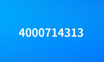 4000714313