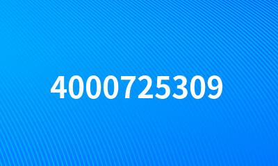 4000725309