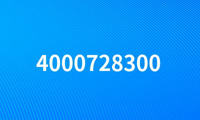 4000728300