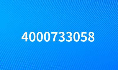 4000733058