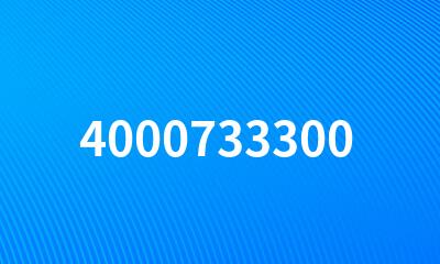 4000733300