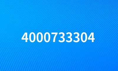 4000733304