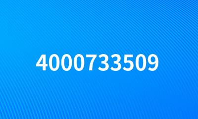 4000733509