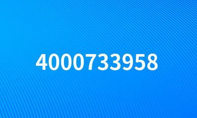 4000733958