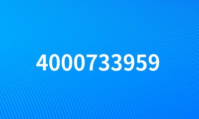 4000733959