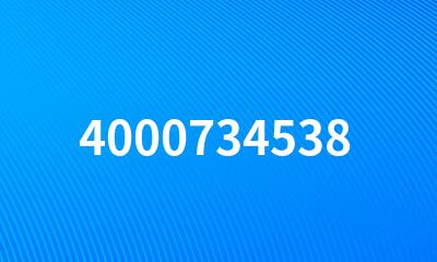 4000734538