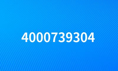 4000739304