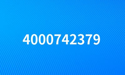 4000742379