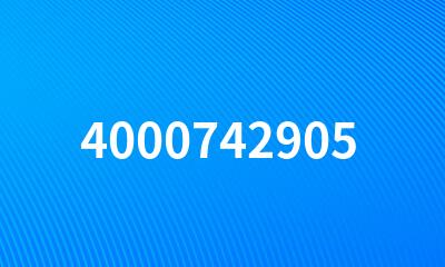 4000742905