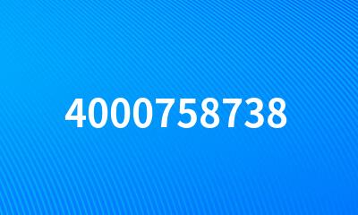 4000758738