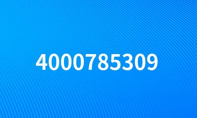 4000785309