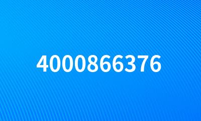 4000866376