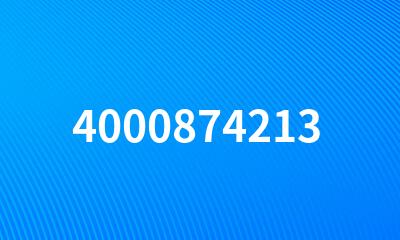 4000874213