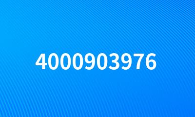 4000903976