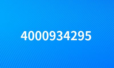 4000934295